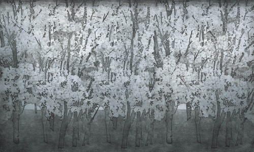 Fototapeta las Wonderwall Humming 35062001