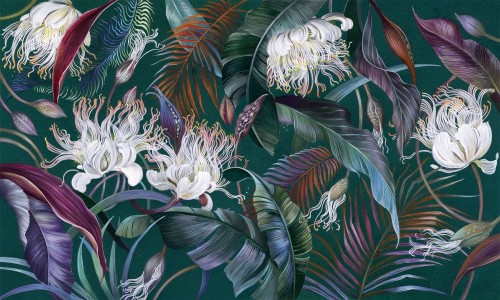 Fototapeta tropikalna roślinność Wonderwall Irida 35073208