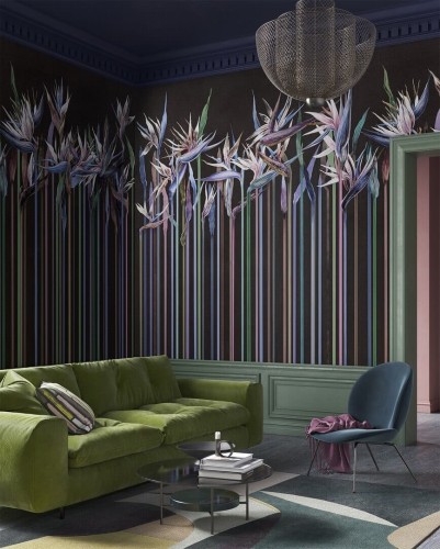 Fototapeta kwiaty strelicji Wonderwall Annabel 35072800