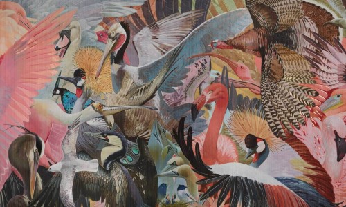 Fototapeta ptaki Wonderwall Accent 35053202