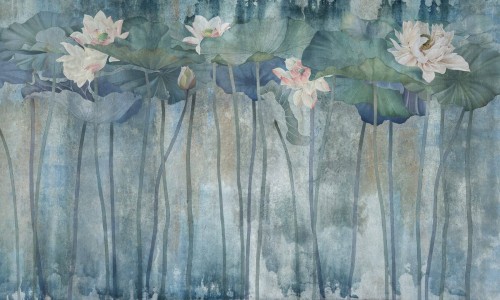 Fototapeta kwiaty lilii wodnej Wonderwall Acqua 35070703