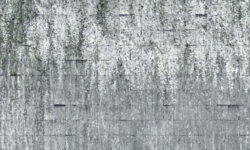 Fototapeta kwiaty wisterii i kafle Wonderwall Allure 35079601