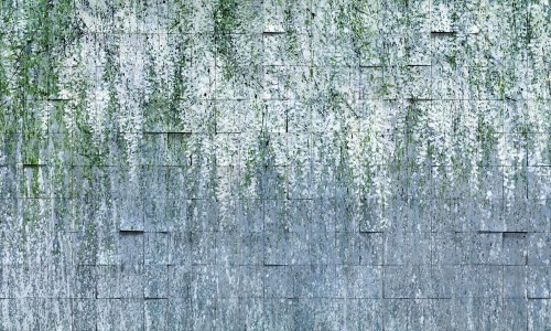 Fototapeta kwiaty wisterii i kafle Wonderwall Allure 35079603