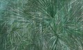 Fototapeta liście palmy Wonderwall Amazonia 35046903