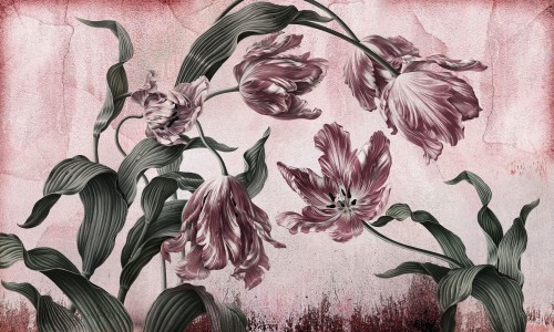 Fototapeta kwiaty tulipany Wonderwall Belicia 35074705