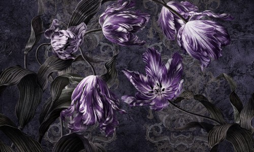 Fototapeta kwiaty tulipany Wonderwall Belicia 35074707