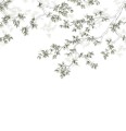 Mural gałęzie i liście Casadeco WDWS 89137509 L Calming Leaves WonderWalls
