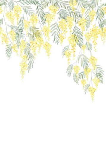 Mural tropikalna roślina Casadeco WDWS 89172203 M Mimosa WonderWalls