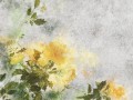 Fototapeta polne kwiaty i beton WallArt Bright