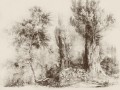 Fototapeta drzewa WallArt Calm Beige