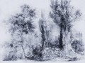 Fototapeta drzewa WallArt Calm Blue