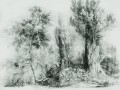 Fototapeta drzewa WallArt Calm Green