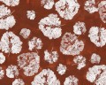 Fototapeta liście WallArt Foglia Rust