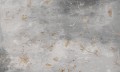 Fototapeta kwiaty i beton WallArt Grati