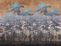 Fototapeta sosnowy las WallArt Secret Forest