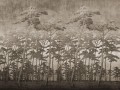 Fototapeta sosnowy las WallArt Secret Forest Beige
