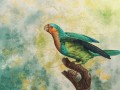 Fototapeta papuga WallArt Sierra