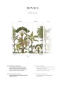 Mural bananowce i palmy PaperMint MANAUS Bronze 833 Origins