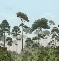 Mural tropikalny las PaperMint MATSU Ete 953 Origins