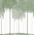 Mural drzewa PaperMint WOODS Vert Foret 963 Origins