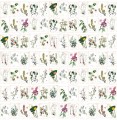 Mural zielnik vintage PaperMint FLEURS SAUVAGES Parchemin R008 Les Essentiels