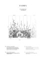 Mural florystyczny PaperMint FLORA Reglisse R021 Les Essentiels