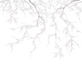 Mural kwitnąca wiśnia PaperMint SAKURA Blanc R044 Les Essentiels