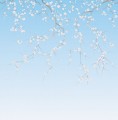 Mural kwitnąca wiśnia PaperMint SAKURA Bleu Clair R036 Les Essentiels