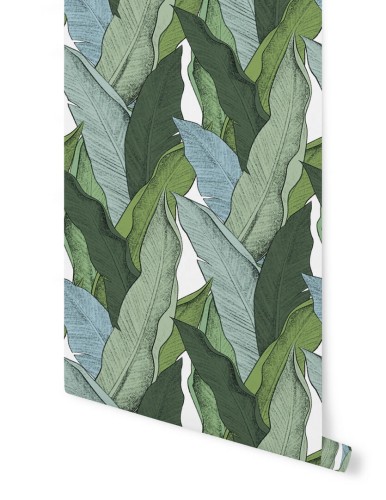 Tapeta liście Papermint LEAF Vert 559 Classics