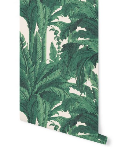 Tapeta tropikalne liście Papermint MUSA Rose 219 Classics