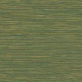 Tapeta imitująca włókna trawy Decoprint TA25045 Grasscloth Thaiti