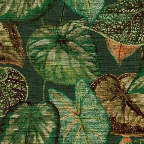 Tapeta tropikalne liście Decoprint TA25054 Tropical Leaves Thaiti