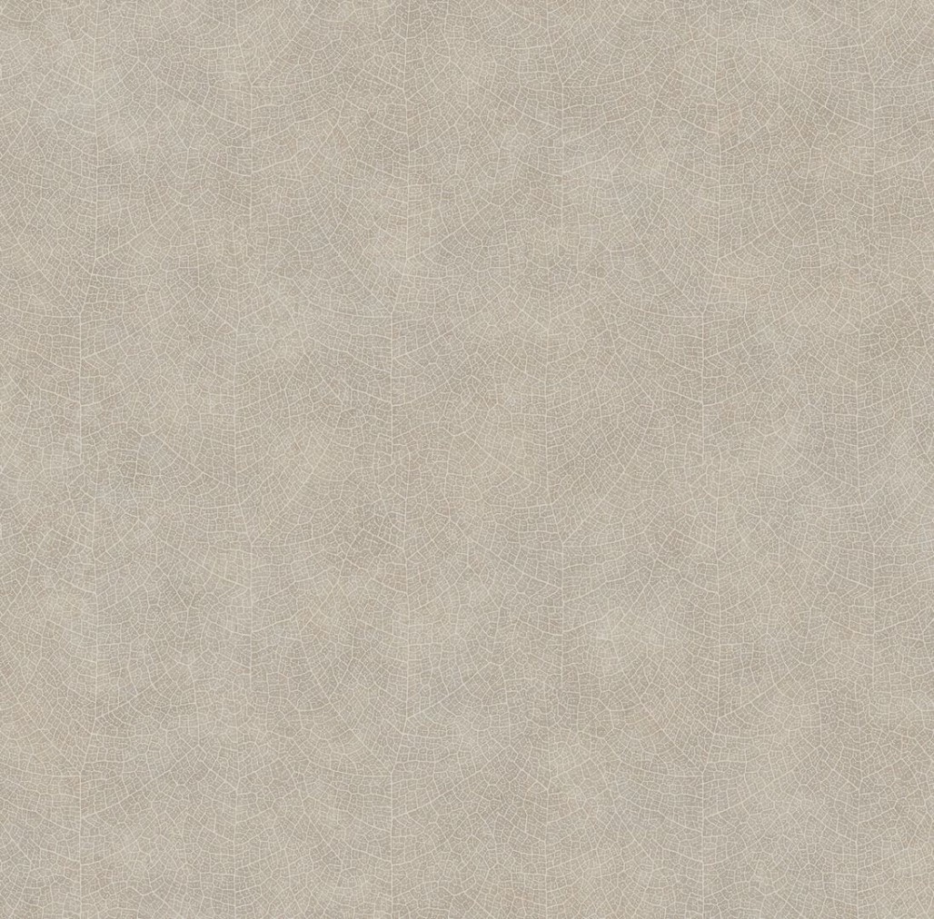 2614d58c273977850a8e23d21d60800a