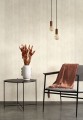 Tapeta jak beton Casadeco COLR 88061118 Beton So Color 5