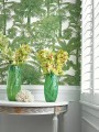 Tapeta palmy Thibaut T10101 Palm Botanical Tropics