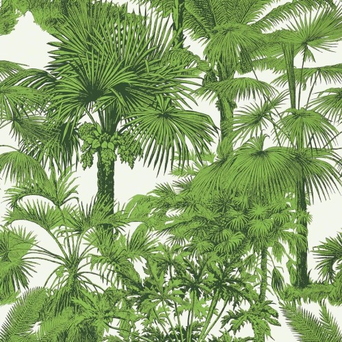 Tapeta palmy Thibaut T10103 Palm Botanical Tropics