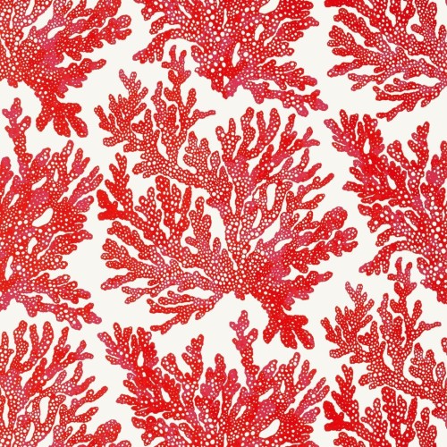 Tapeta koralowce Thibaut T10120 Marine Coral Tropics