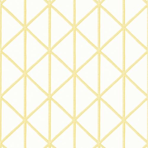 Tapeta geometryczna kratownica Thibaut T10136 Box Kite Tropics