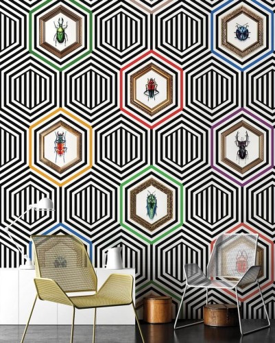 Fototapeta heksagony i owady Wonderwall Coleoptera 35050506