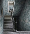 Fototapeta roślinna Rebel Walls R19244 The Path Light Blue Vintage Brocade