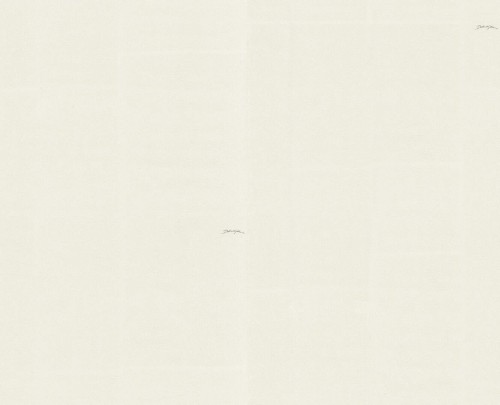 Tapeta płótno Dolce & Gabbana TCW007 TCAHN U0011 N.1 - 106cm szer.