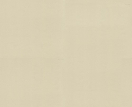 Tapeta płótno Dolce & Gabbana TCW007 TCAHN U0059 N.1 - 106cm szer.