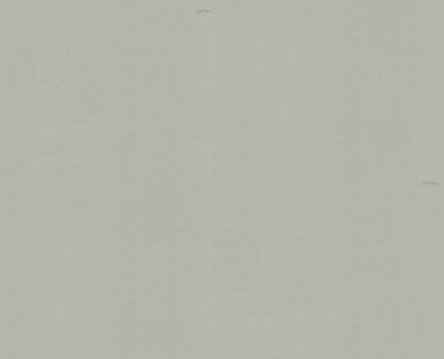 Tapeta płótno Dolce & Gabbana TCW007 TCAHN U0060 N.1 - 106cm szer.