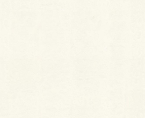 Tapeta cętki lamparta Dolce & Gabbana TCW007 TCAI9 UL001 N.1 - 106cm szer.