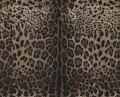Tapeta cętki lamparta Dolce & Gabbana TCW007 TCAI9 UL003 N.1 - 106cm szer.