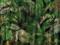 Fototapeta tropikalne liście Wallcraft Jungle 805322301