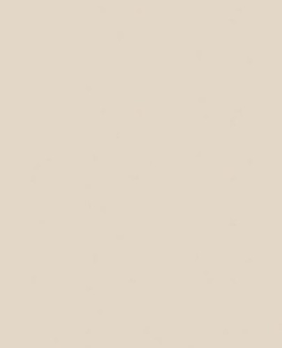 Tapeta jednokolorowa Boras Tapeter Oatmeal 7552 Pigment