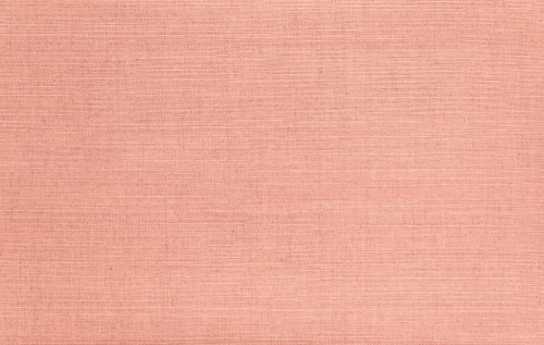 Tapeta naturalna z włókien sizalu Arte Line 80709B Osmanthus