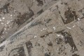 Tapeta naturalny korek z subtelnym połyskiem Arte Eclat 48042 Les Forets
