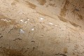 Tapeta naturalny korek z subtelnym połyskiem Arte Eclat 48045 Les Forets